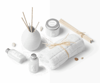 nulla faucibus porttitor