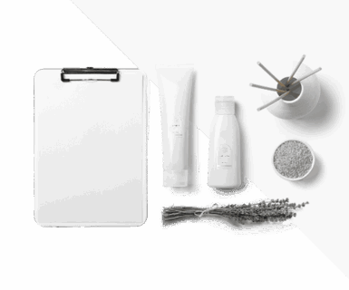 Nullam placerat efficitur